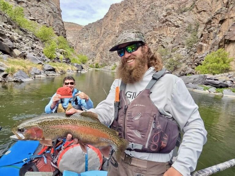 Rainbow Trout