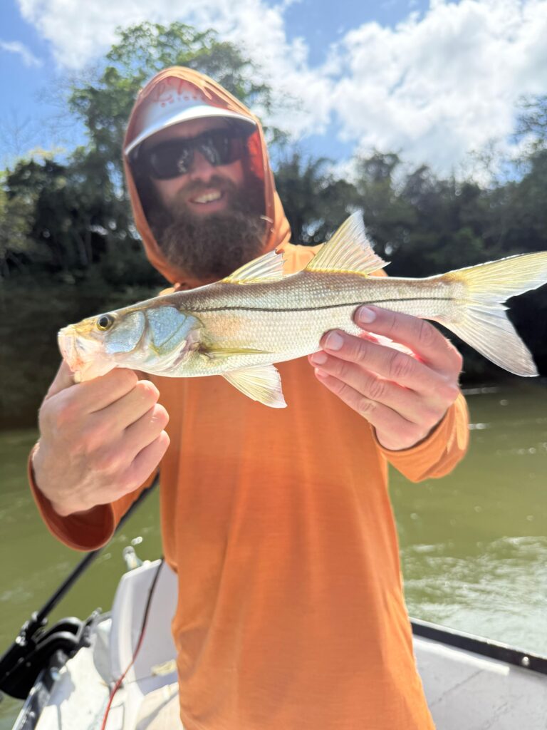 Snook