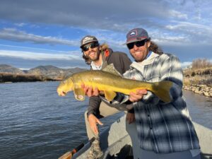 Native Fish of the Colorado River Basin