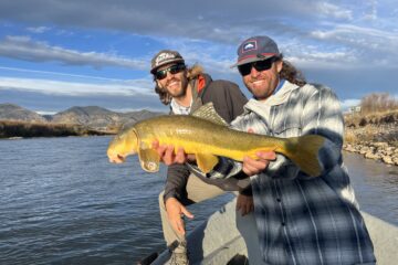 Native Fish of the Colorado River Basin
