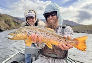 Brown Trout on the Colorado River