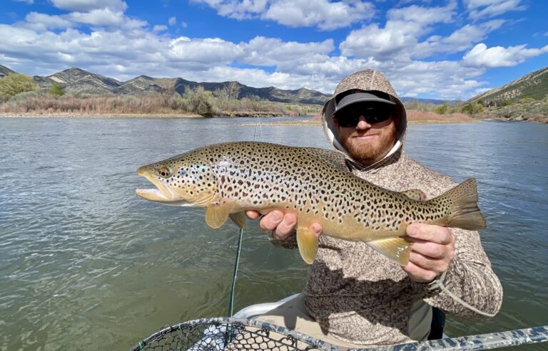 Colorado River Brown Trout - LTF Guides