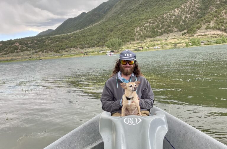 Boat Dogs