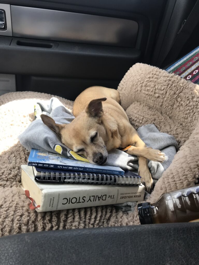 Travelin' Buddy